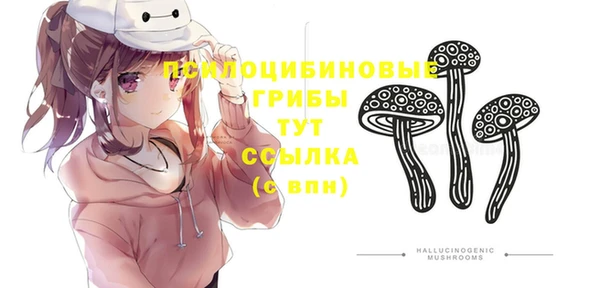 круглые Елабуга