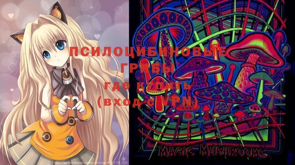 MESCALINE Елизово