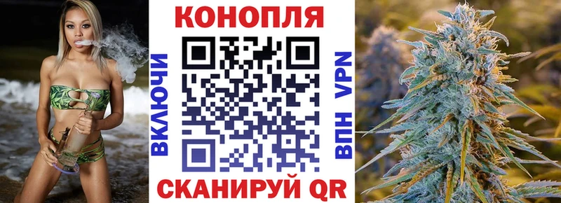 Марихуана план  Нюрба 